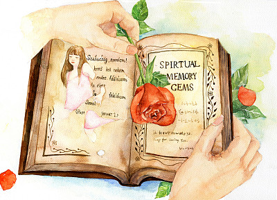 雅思剑桥阅读错因