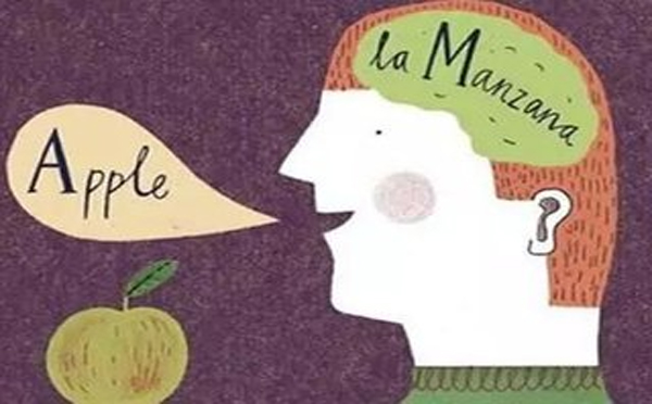 雅思培训价格最划算的是多少？