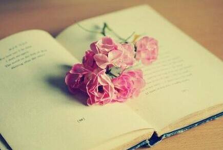 培养雅思阅读逻辑能力的两大方法