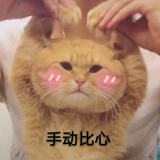 英国留学专业选择的几大原则！