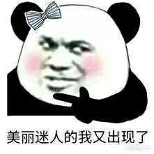 新加坡留学专业，哪一种最适合你？