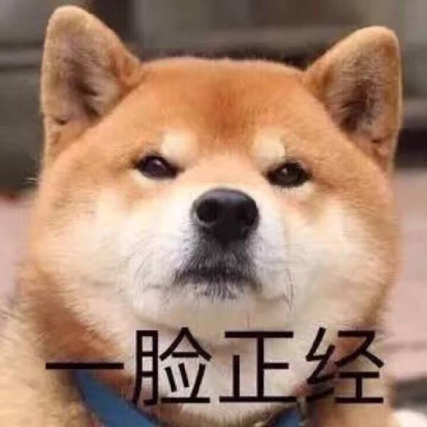 高分雅思听力，想临时抱佛脚的快来！