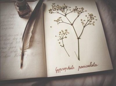 8分以上的学神是如何学雅思的