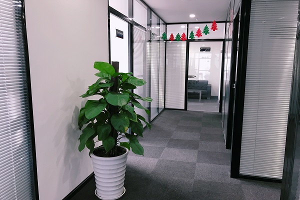 成都最好雅思培训在哪里？