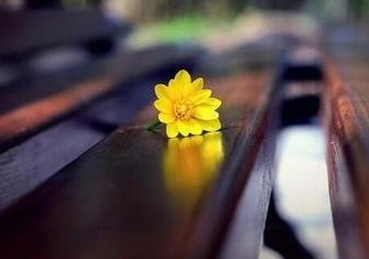 零基础或基础差，雅思能拿高分吗？