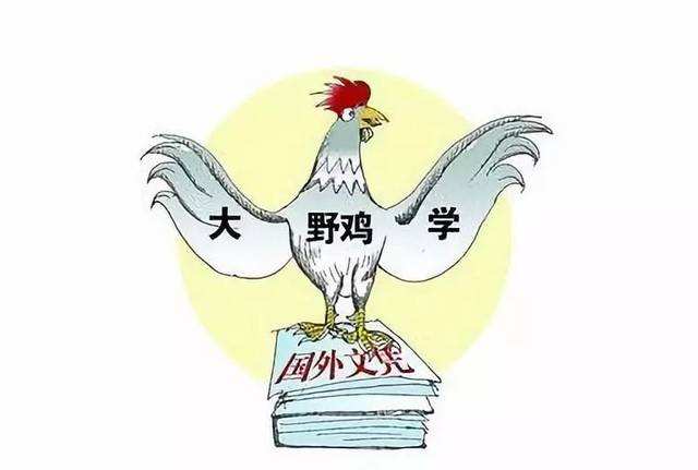 那些年，被忽悠了的美国野鸡大学