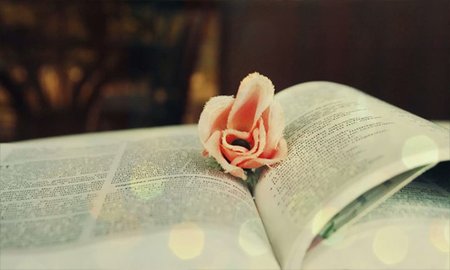 雅思高分作文，多有这两种特点