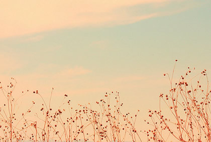 必看！如何考到雅思7分！