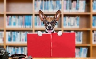 易世雅思寒假一对一，教你有效提升雅思分数