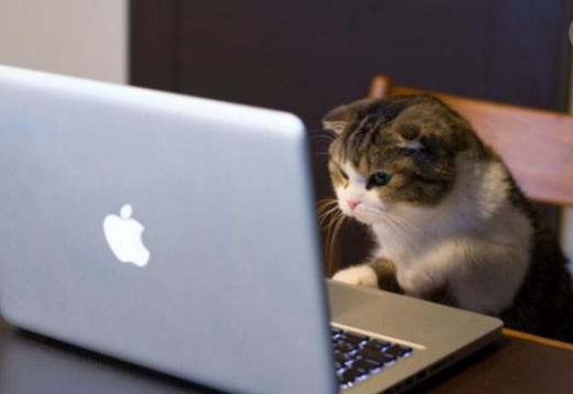 雅思培训班应该找哪种才适合自己？