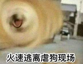 没有女朋友又怎样？照样可以去美国留学！