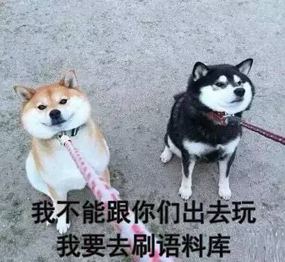 雅思听力又双叕上热搜了！这次，你方吗？