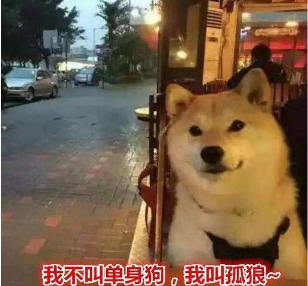 易世英语教你：一个人过情人节的正确姿势