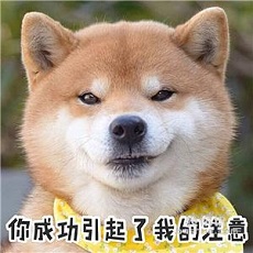 雅思考试报名官网如何报名