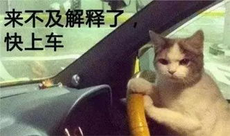 【纯干货】教你雅思听力8分的神技巧