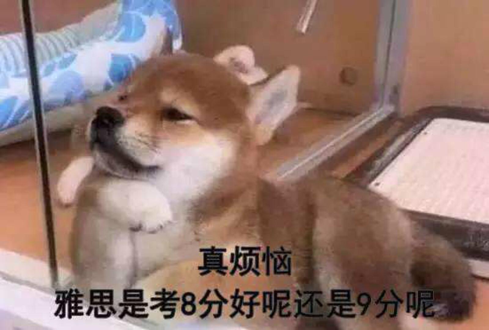 【纯干货】雅思阅读学习攻略