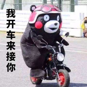 成都雅思培训班哪个机构好