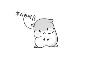 雅思阅读8分大神的备考经验