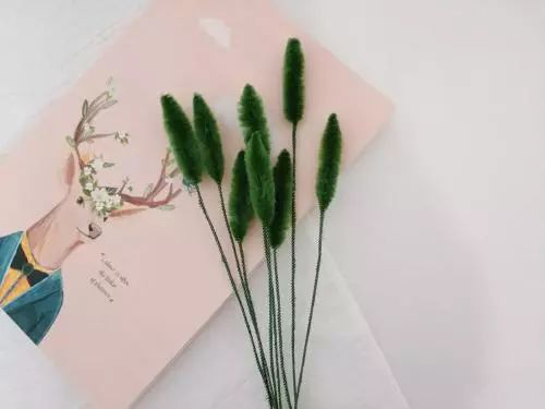 想要高分，背雅思考试单词重要吗？