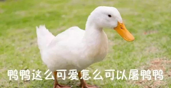 又被雅思口语成绩拖后腿了？这些禁忌碰不得