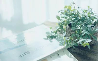 雅思写作精选好句，7分写作必备！