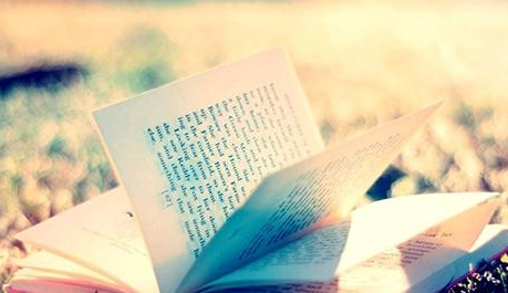 雅思写作字数越多，分数越高吗？