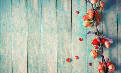 雅思口语换题季，9月开始去逆袭！