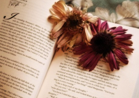 细数最近中国雅思考试有哪些变革