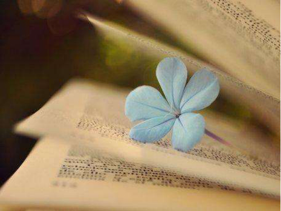 零基础雅思班哪家好