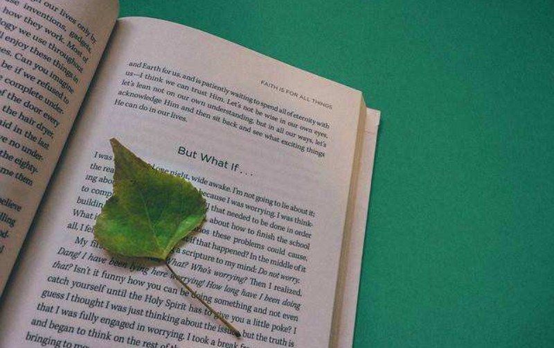 雅思培训一个月，你能提高多少？