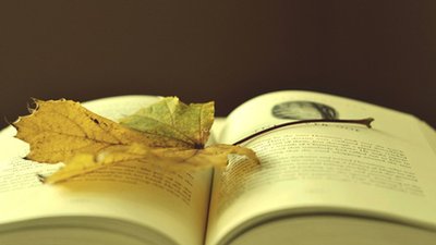 备考雅思阅读考试，正确做题方法你掌握了吗？