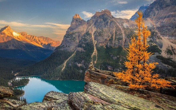 一篇读懂加拿大留学门槛