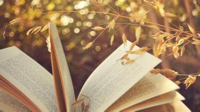 成都雅思小班贵不贵？哪家好