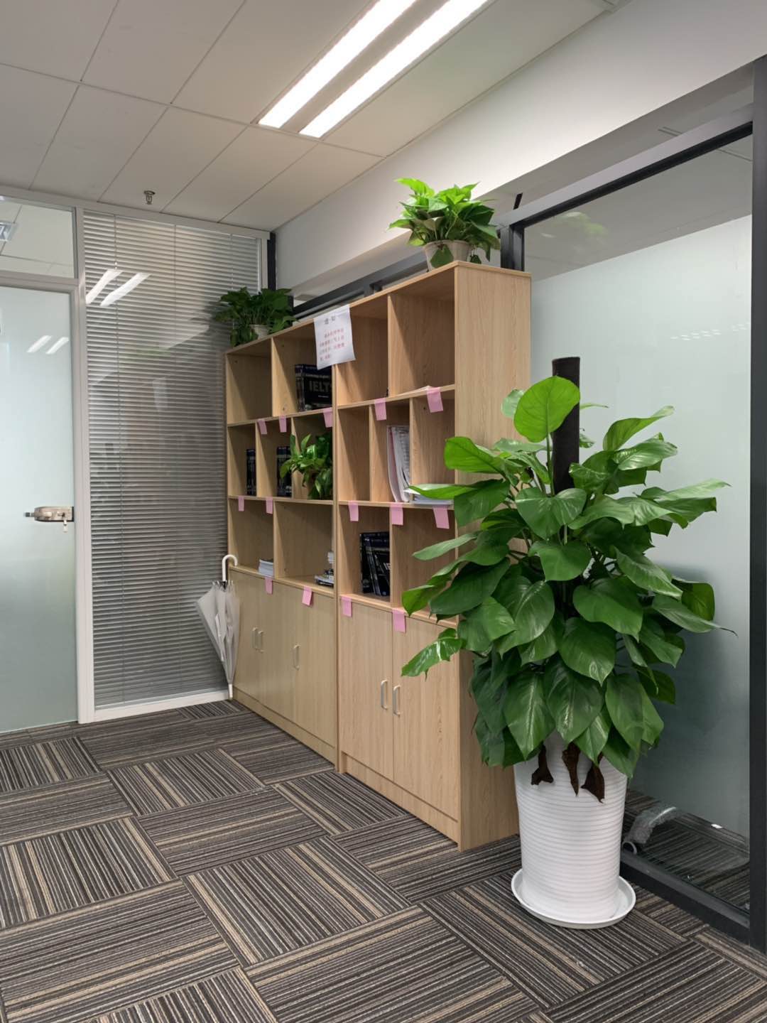 成都雅思培训哪家好